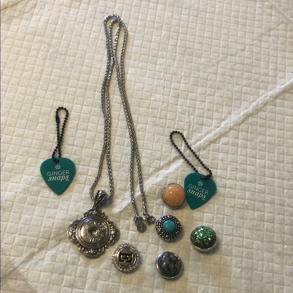 Ginger Snaps Silver Necklace With Interchangeable Charms 45$